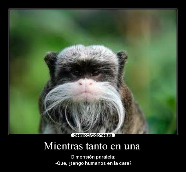 Mientras tanto en una -