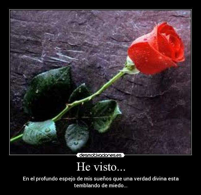 He visto... - En el profundo espejo de mis sueños que una verdad divina esta
temblando de miedo...