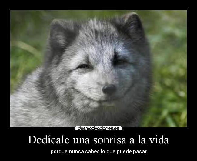 Dedícale una sonrisa a la vida -