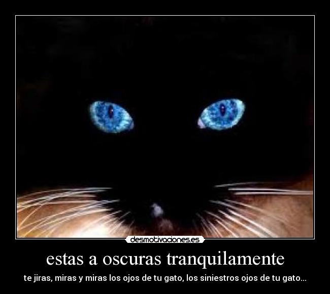 estas a oscuras tranquilamente - 