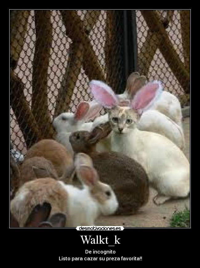 Walkt_k - De incognito
Listo para cazar su preza favorita!!