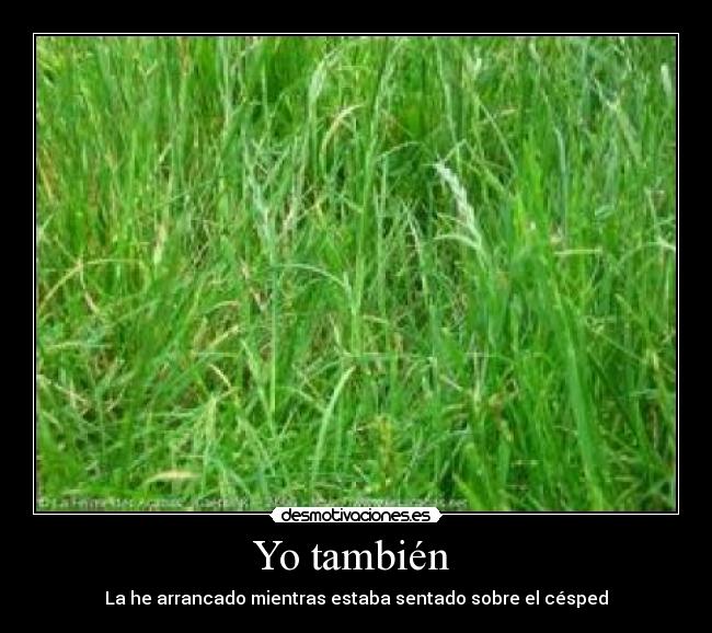 Yo también - La he arrancado mientras estaba sentado sobre el césped