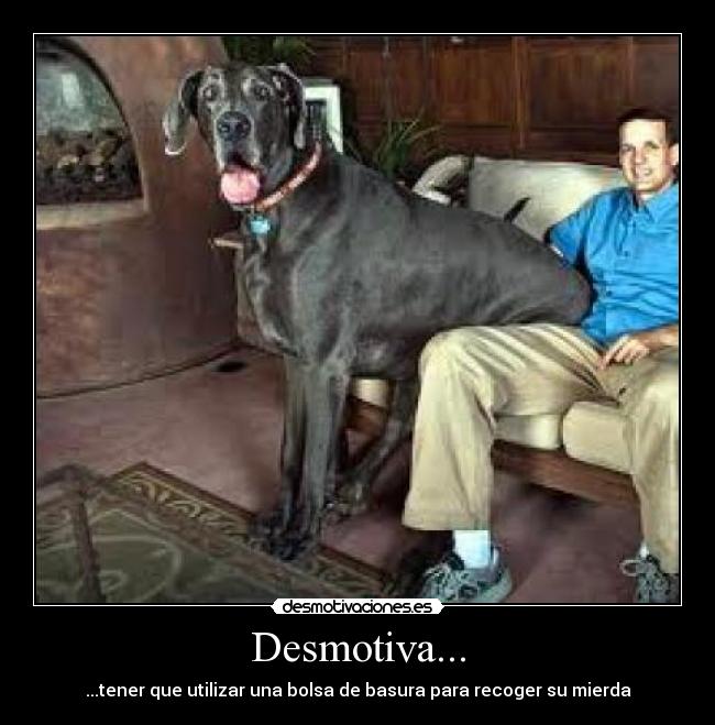 carteles pura verdad desmotivaciones