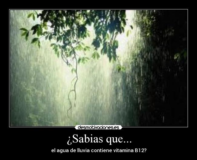 ¿Sabias que... - el agua de lluvia contiene vitamina B12?