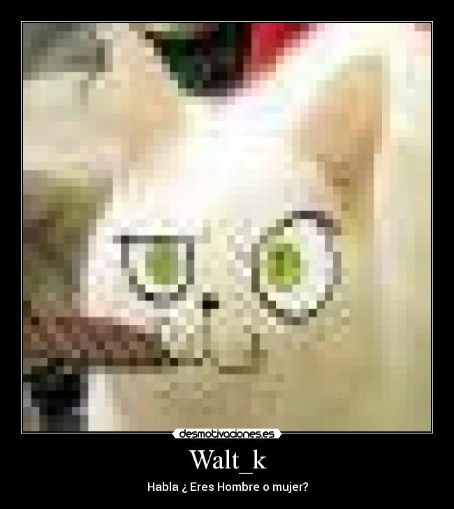 Walt_k - Habla ¿ Eres Hombre o mujer?