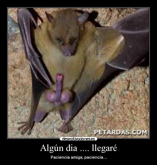 Algún dia .... llegaré -