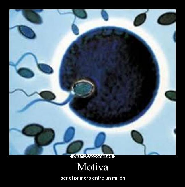 Motiva - 