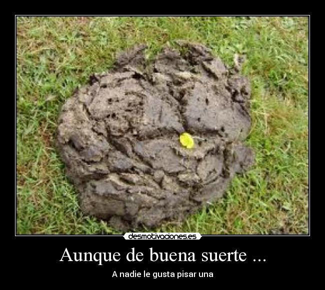 Aunque de buena suerte ... -