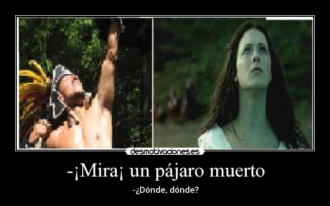 -¡Mira¡ un pájaro muerto - -¿Dónde, dónde?