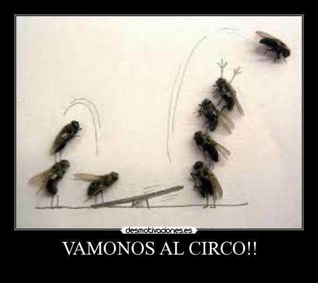 VAMONOS AL CIRCO!! -