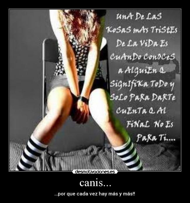 canis... - ...por que cada vez hay más y más!!