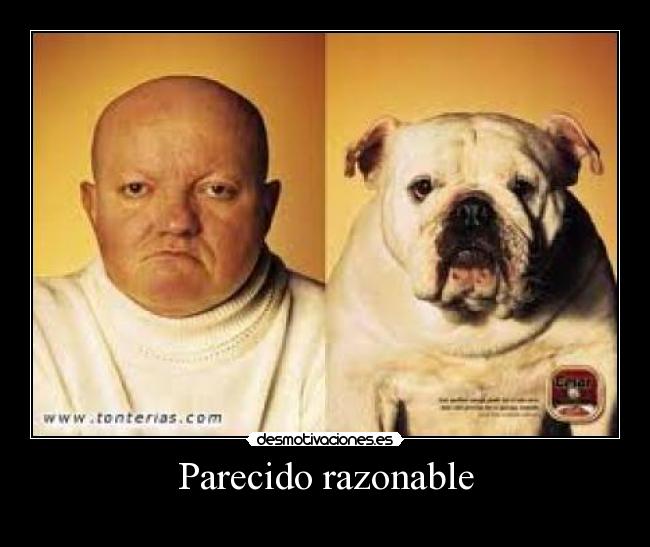Parecido razonable -