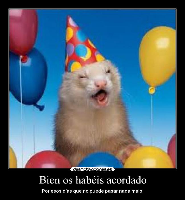 Bien os habéis acordado -