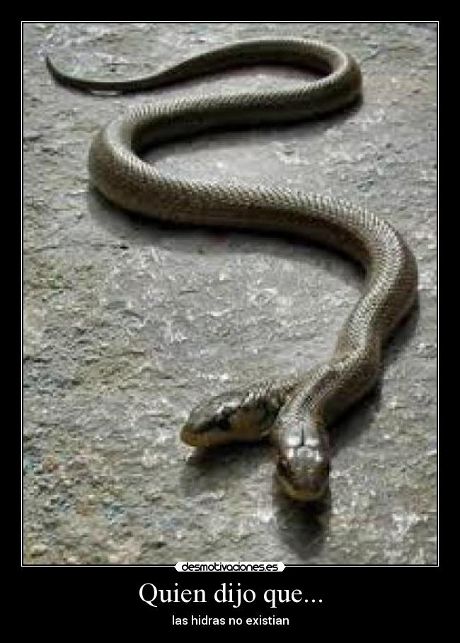 carteles quien dijo que desmotivaciones