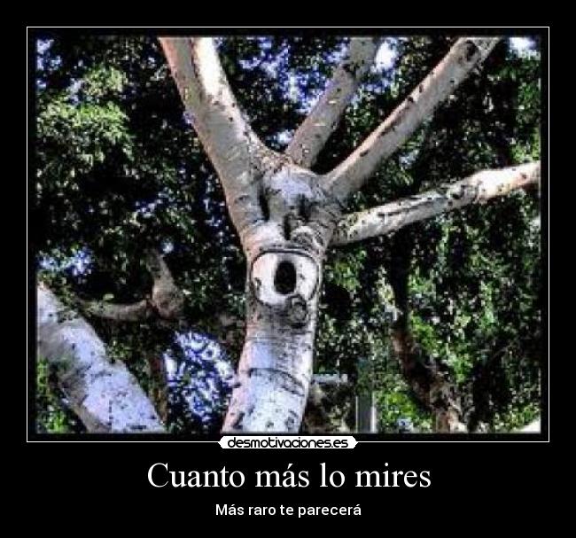 Cuanto más lo mires - 