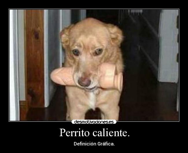 Perrito caliente. - Definición Gráfica.