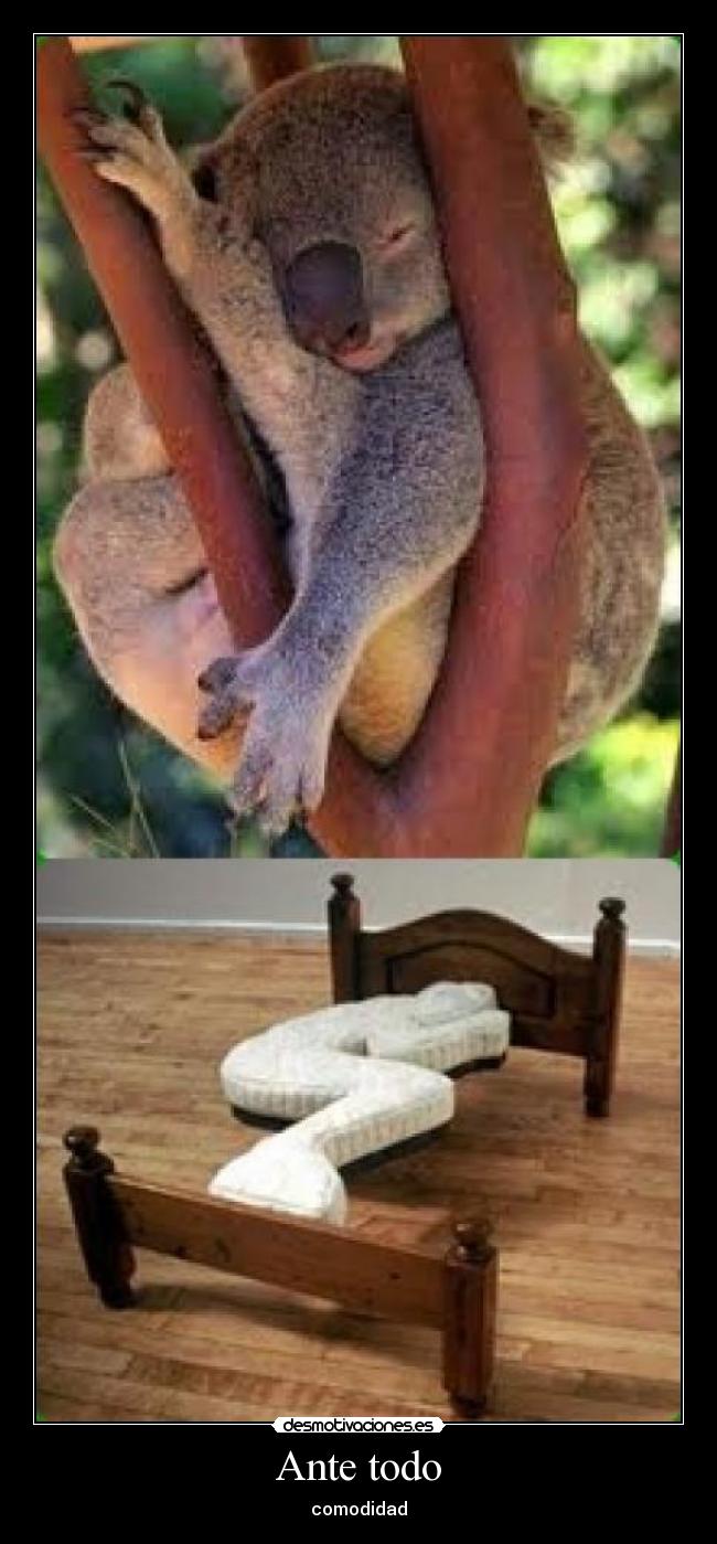 carteles 123 desmotivaciones