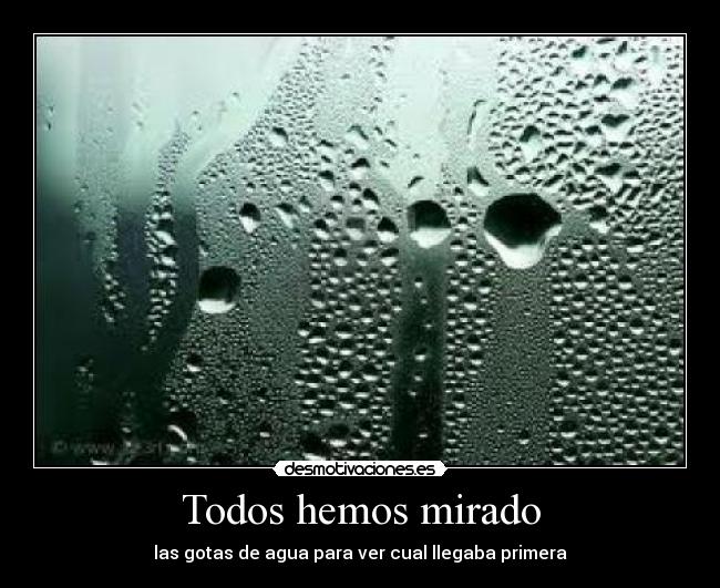 Todos hemos mirado -