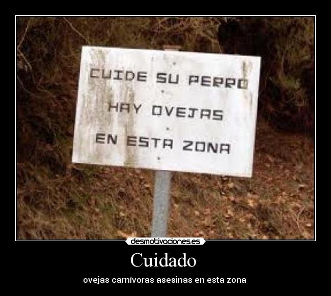 Cuidado  - ovejas carnívoras asesinas en esta zona 