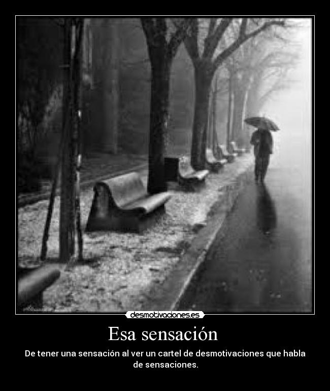Esa sensación  - De tener una sensación al ver un cartel de desmotivaciones que habla de sensaciones.
