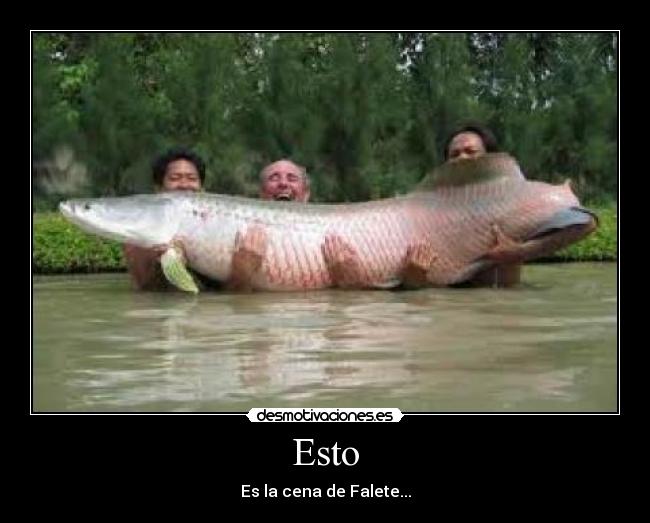 Esto - Es la cena de Falete...
