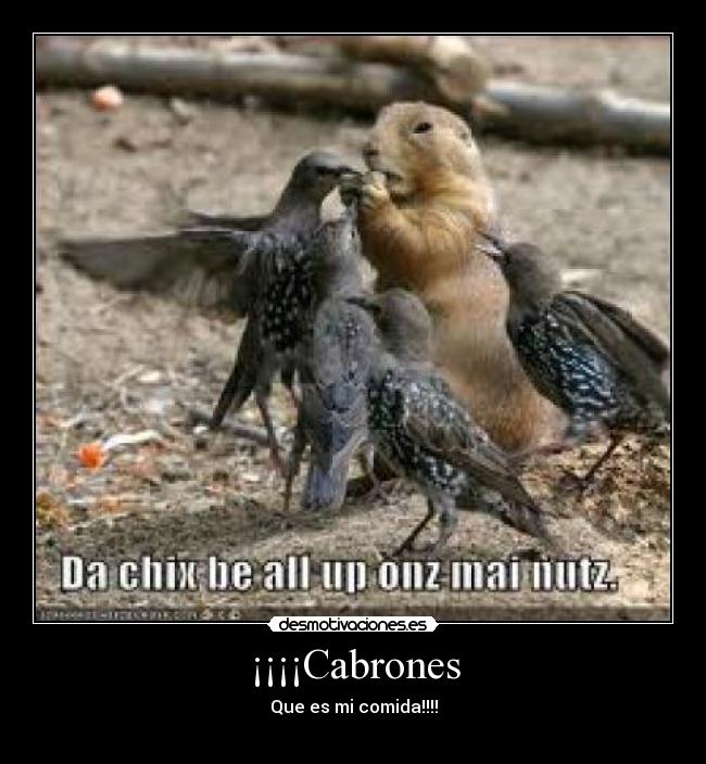 carteles  desmotivaciones