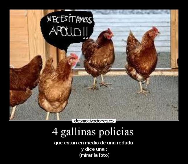4 gallinas policias -