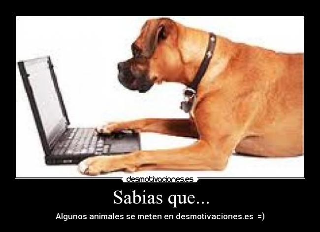 Sabias que... - 
