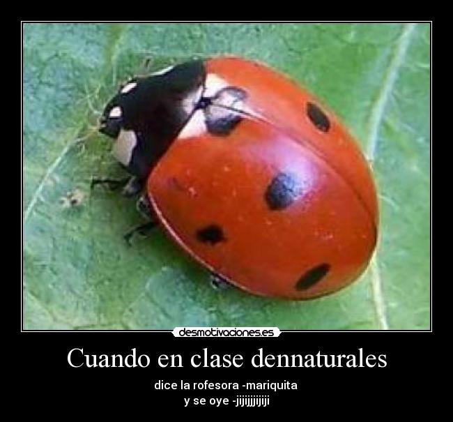 Cuando en clase dennaturales -
