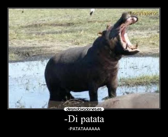 -Di patata - -PATATAAAAAA