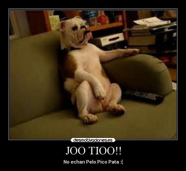 JOO TIOO!! -