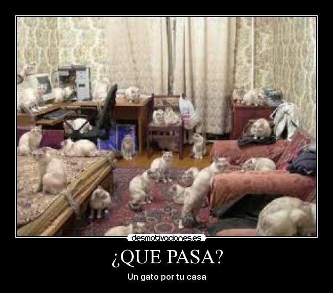 ¿QUE PASA? - 