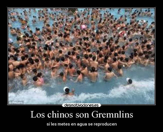 Los chinos son Gremnlins - si les metes en agua se reproducen
