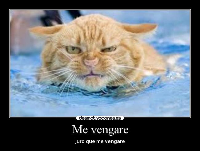 Me vengare - juro que me vengare