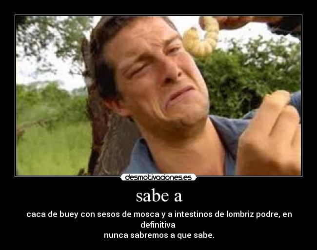 sabe a - caca de buey con sesos de mosca y a intestinos de lombriz podre, en definitiva 
nunca sabremos a que sabe.