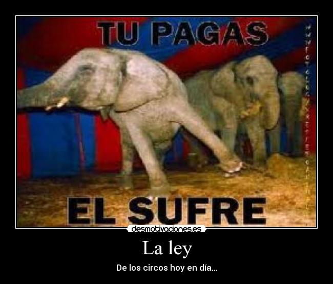 La ley - De los circos hoy en día...