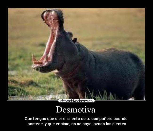 carteles ads desmotivaciones