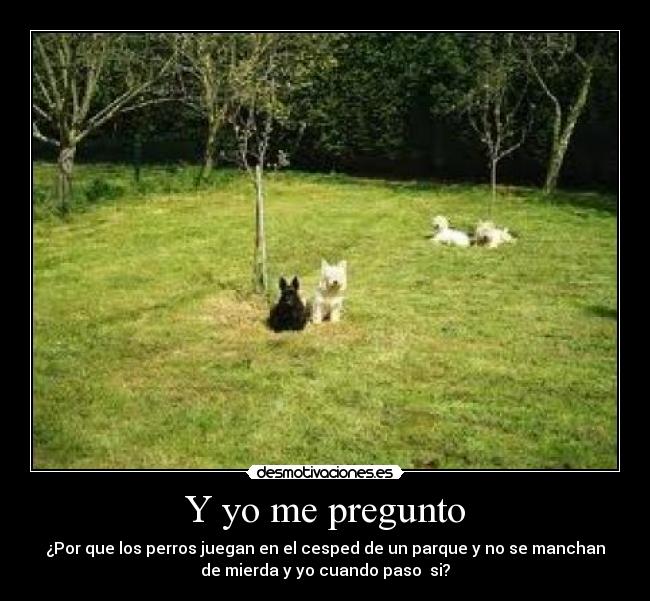 carteles preguntas desmotivaciones