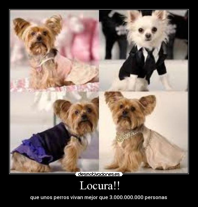 Locura!! - 