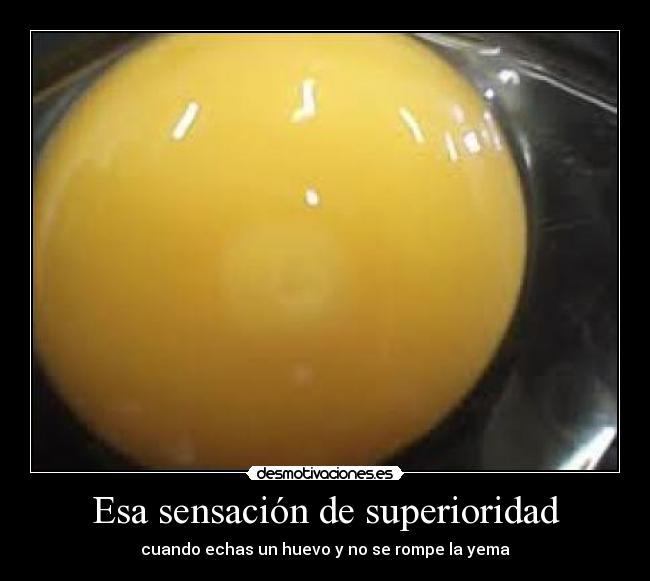 carteles huevo desmotivaciones