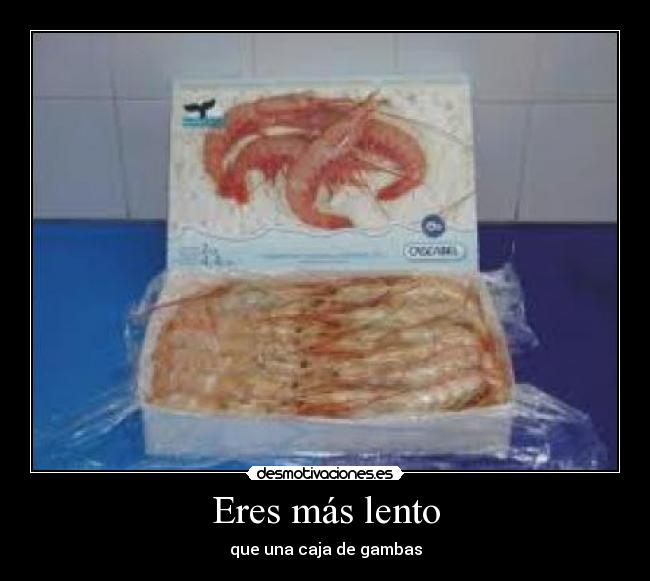 Eres más lento - que una caja de gambas