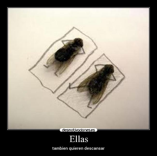 Ellas - 