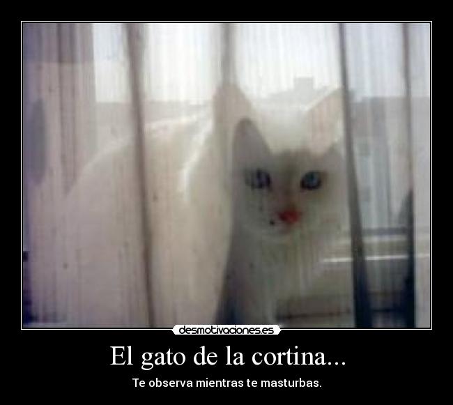 El gato de la cortina... - Te observa mientras te masturbas.