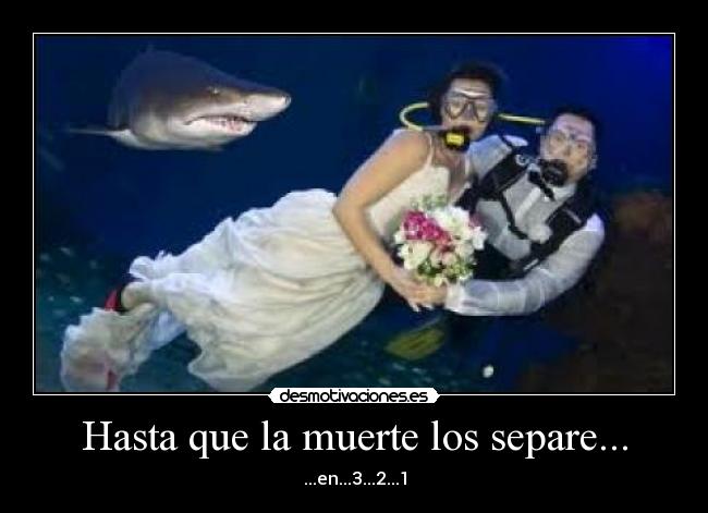 Hasta que la muerte los separe... - ...en...3...2...1