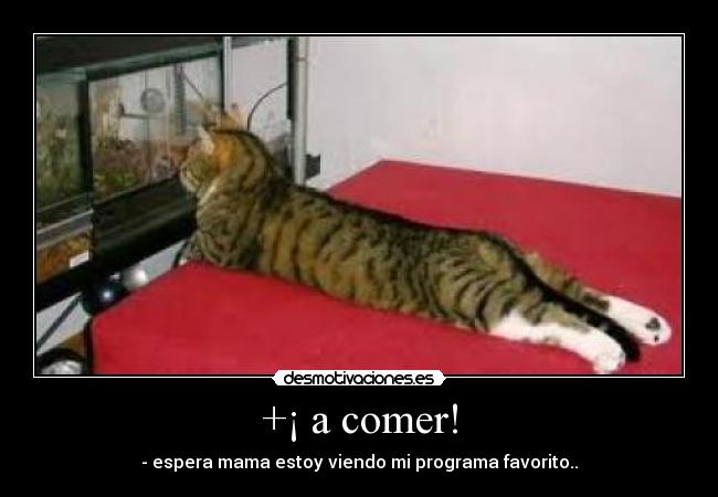 +¡ a comer! - - espera mama estoy viendo mi programa favorito..