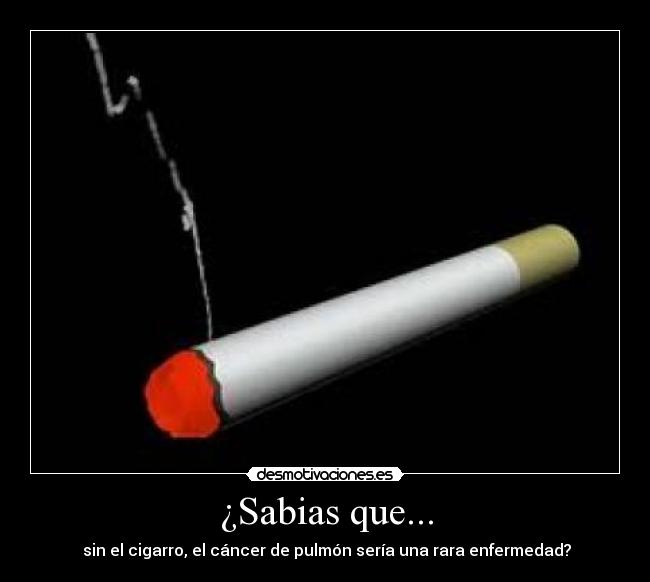 ¿Sabias que... -