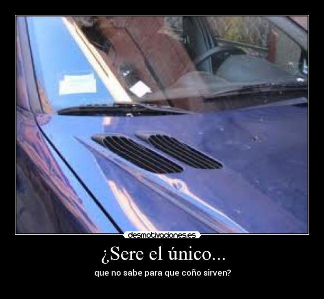 ¿Sere el único... - que no sabe para que coño sirven?