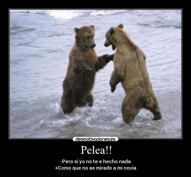 Pelea!! - 