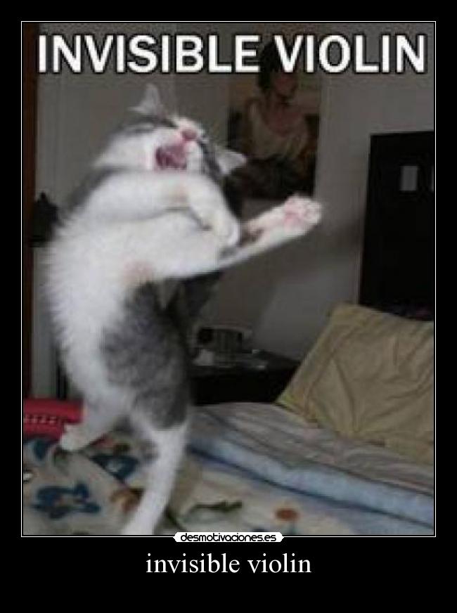 carteles invisible violin desmotivaciones