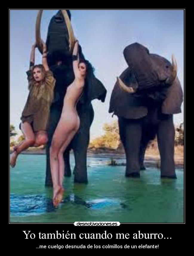 Yo también cuando me aburro... -